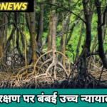 मैंग्रोव क्षेत्र में अतिक्रमण