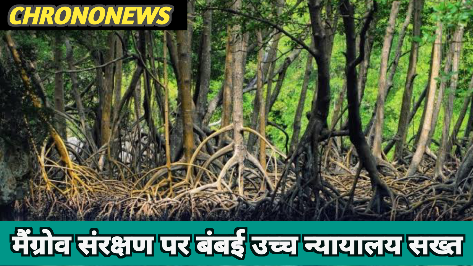 मैंग्रोव क्षेत्र में अतिक्रमण