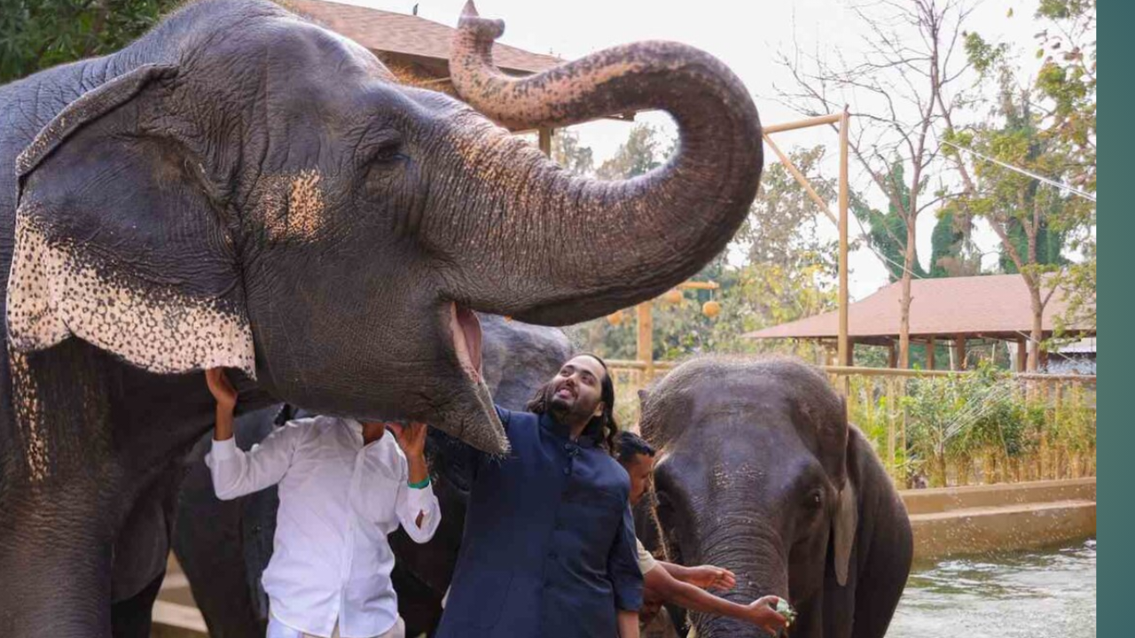 वंतारा जांच सुप्रीम कोर्ट आदेश