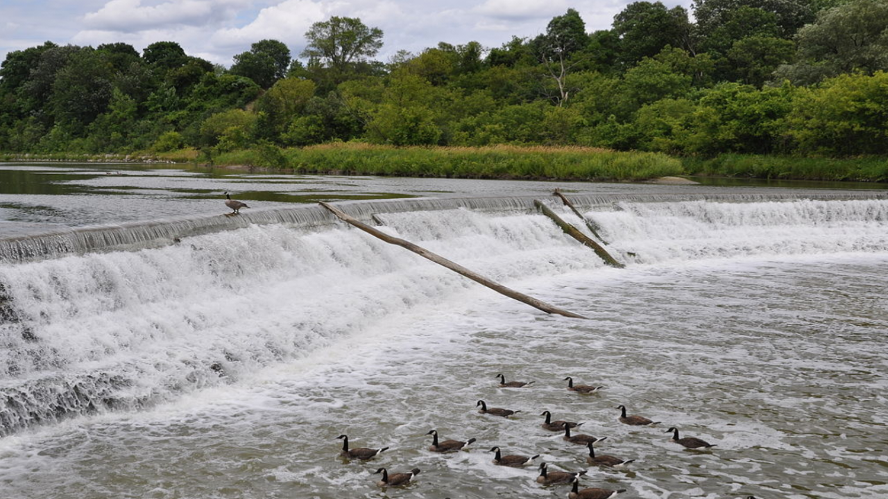 तेलंगाना में भारी बारिश