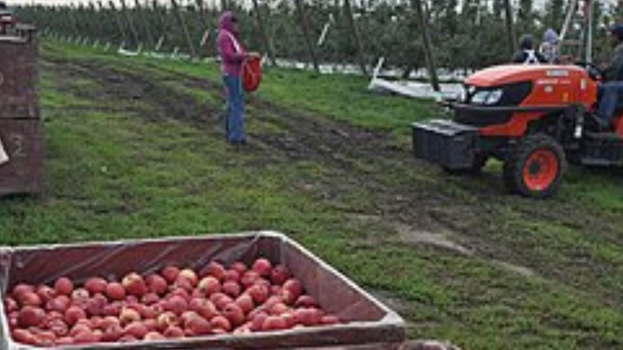 कश्मीर सेब ट्रेन सेवा