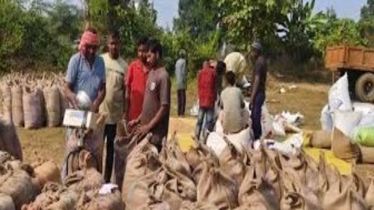 भारत चावल निर्यातक