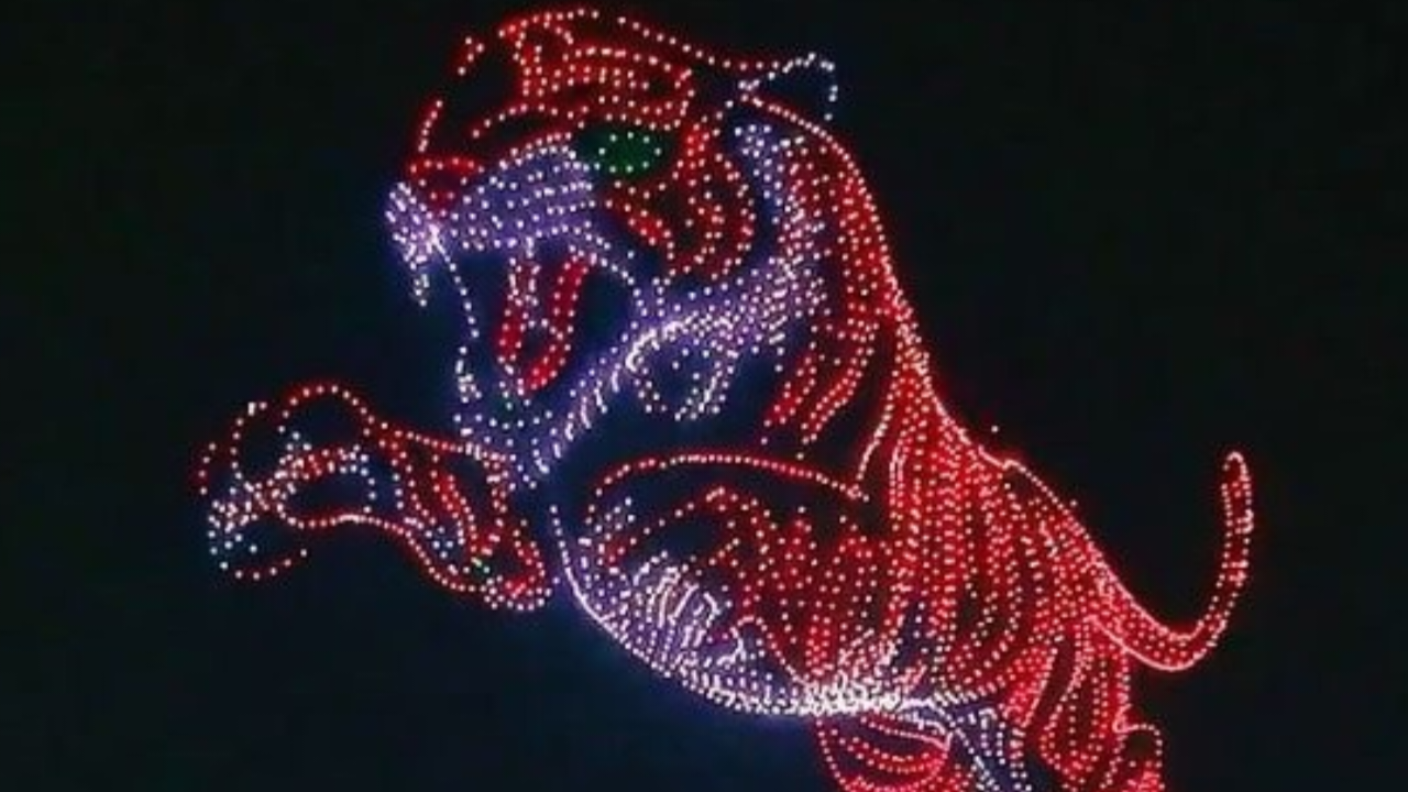 दशहरा उत्सव समापन