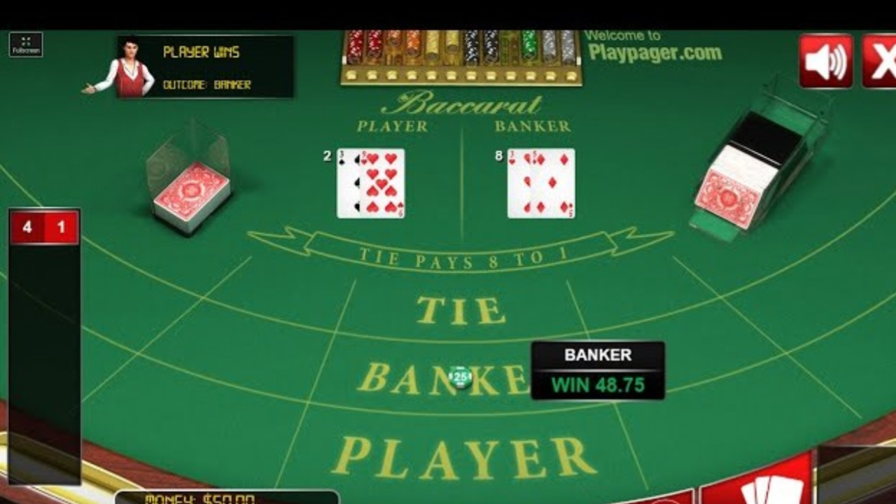 MeitY सचिव का बयान