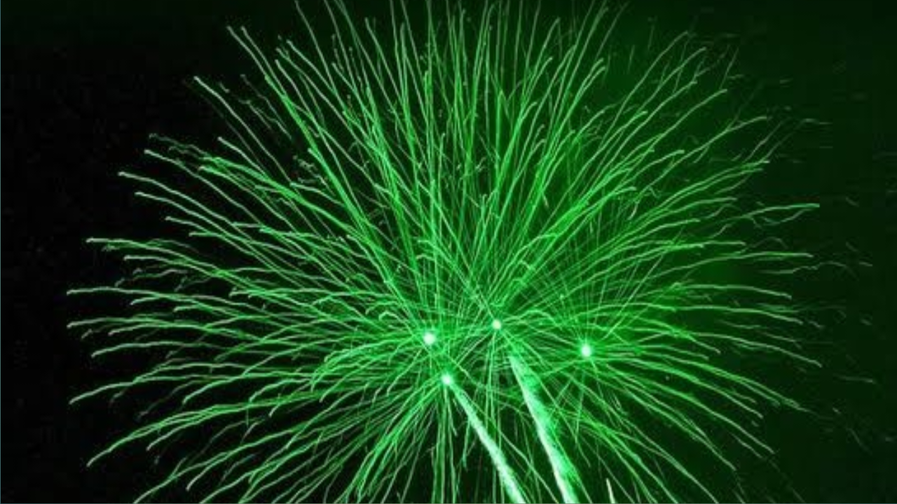 दिवाली पटाखा प्रतिबंध