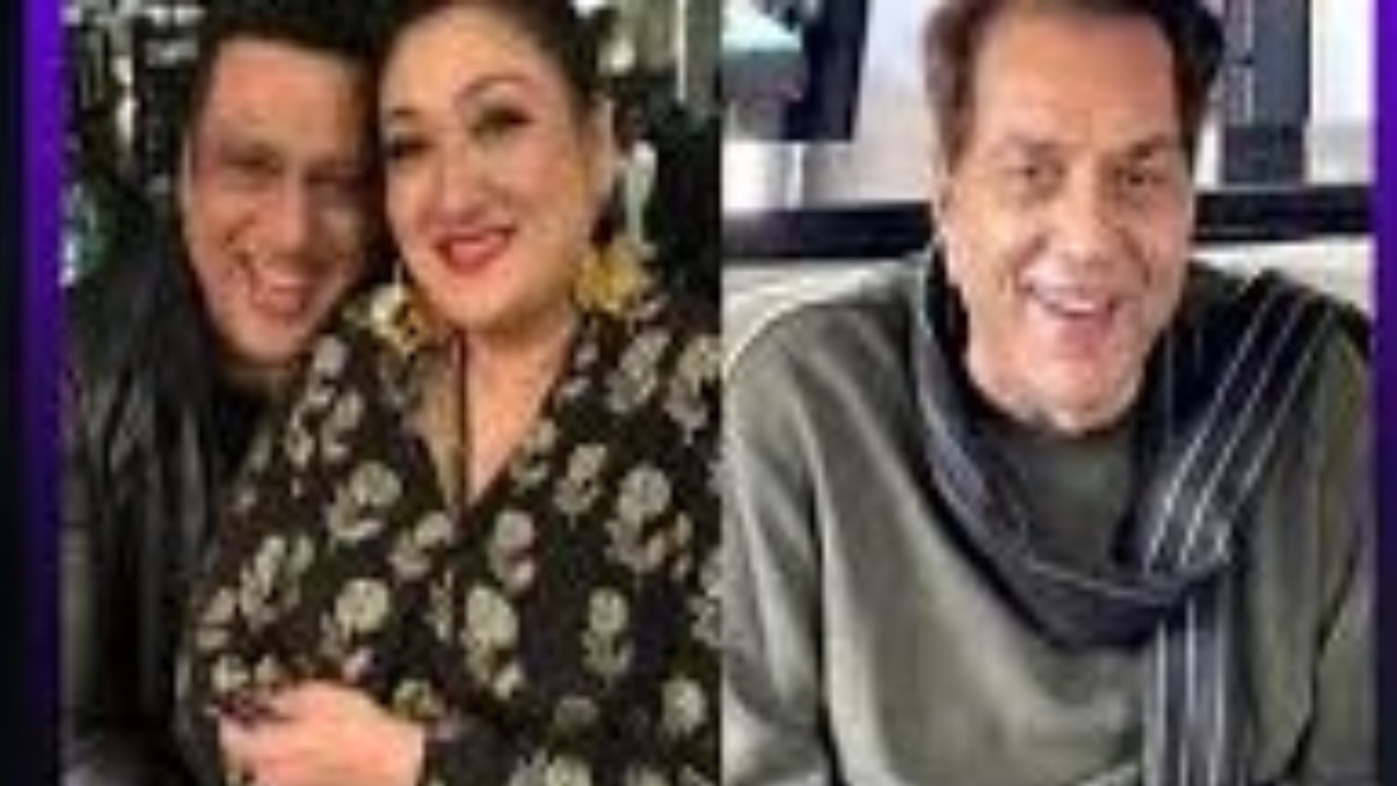 मीडिया सर्कस