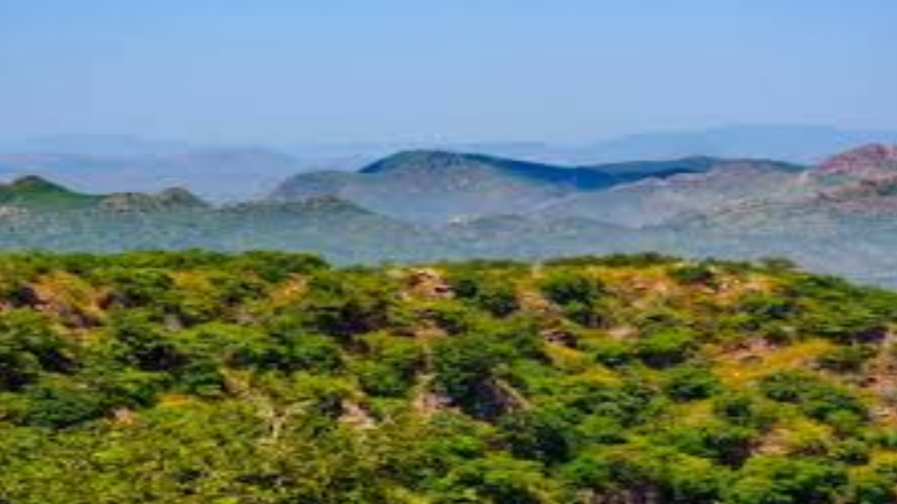 अरावली राजनीतिक घमासान