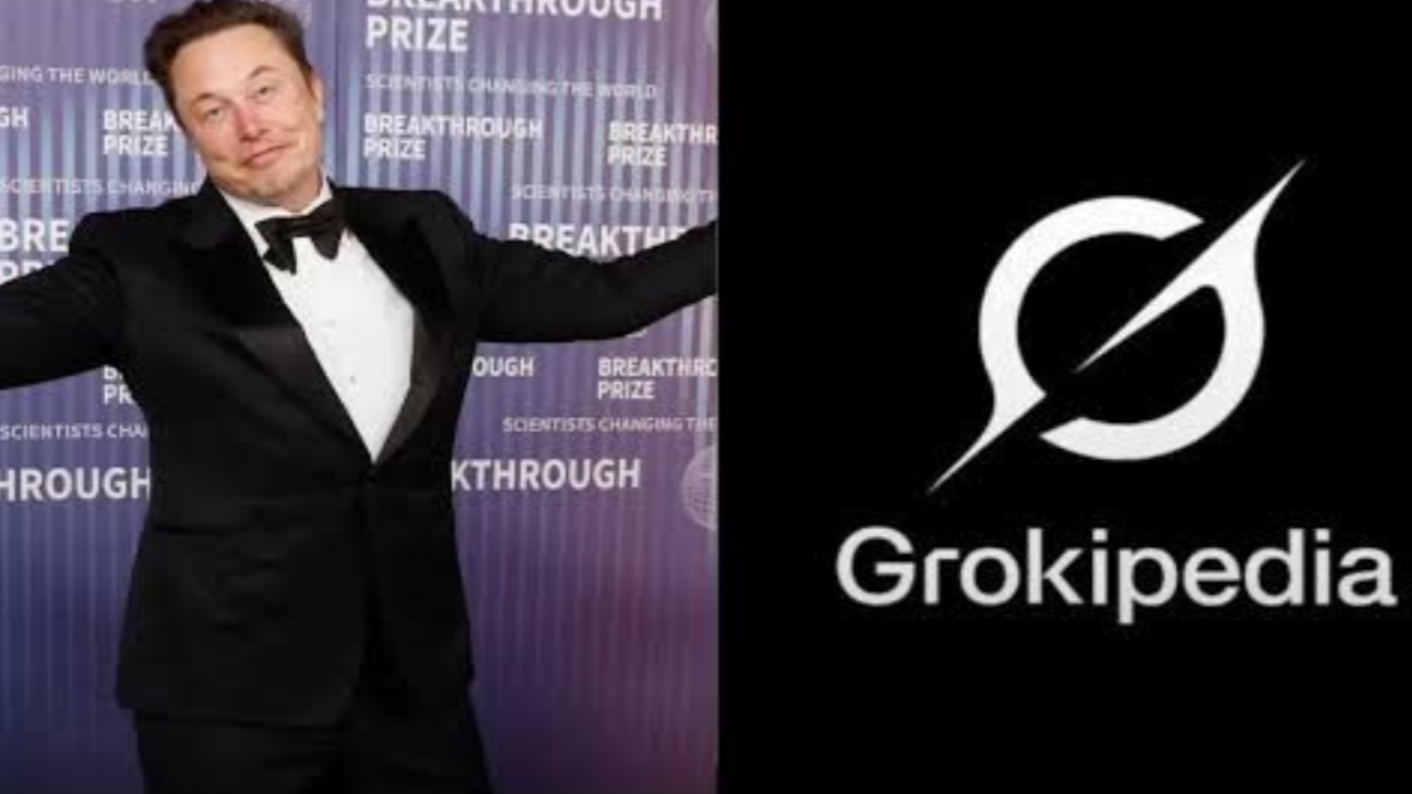 ग्रोक AI फीड क्वालिटी