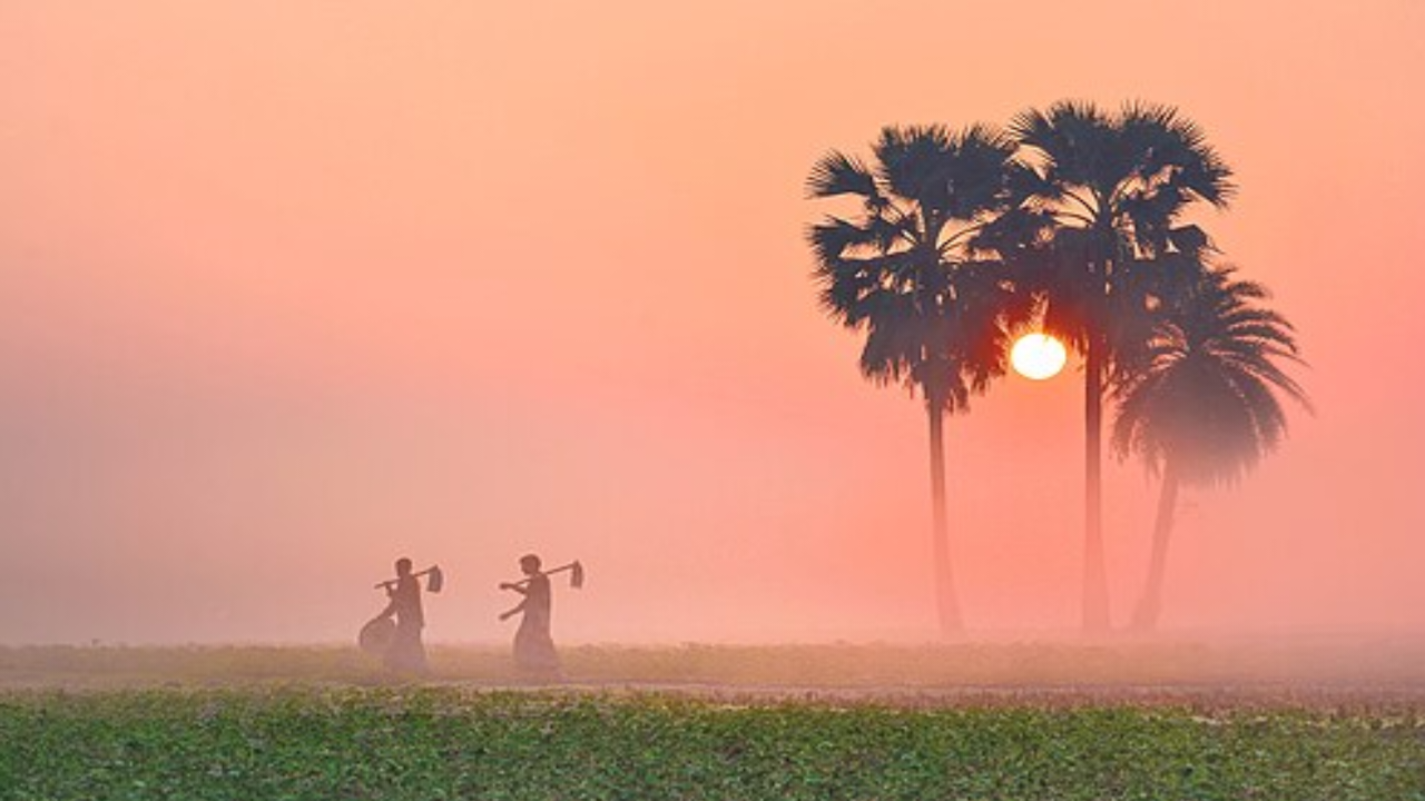 वेस्टर्न डिस्टर्बेंस का असर